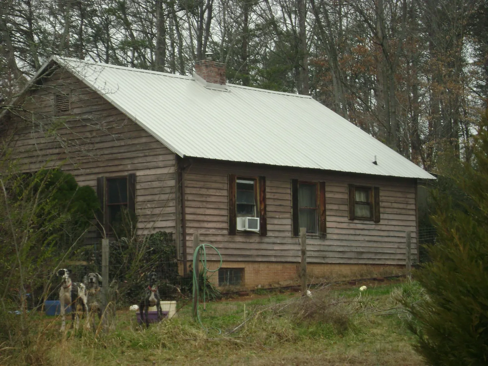 White metal roof on an old wood sided farmhouse, from a Asphalt Shingle Roof Repair job in Bicknell